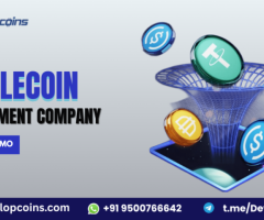 Transform Digital Payments with Custom Stablecoin Development Solutions